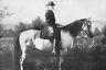 New 5x7 Civil War Photo: Confederate General Robert E. Lee & Horse, Traveller